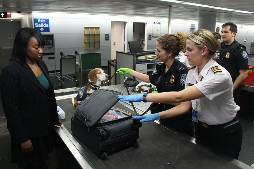luggage control